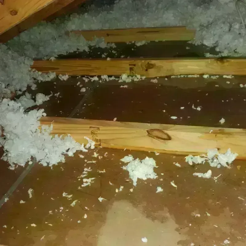 Attic Water Damage in Wake Village, TX