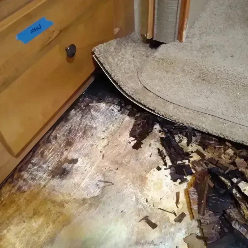 Wood Floor Water Damage in Wake Village, TX